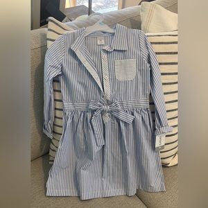 Pinstriped blue and white, long sleeve, brand new dress